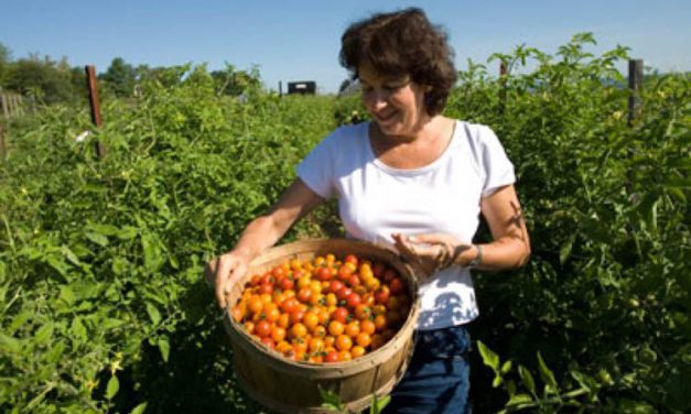 SONO I GIOVANI I NUOVI AGRICOLTORI. E SONO CONTADINI LAUREATI