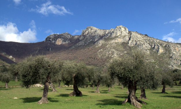 A RISCHIO ESTINZIONE I PRODOTTI TIPICI ITALIANI: COLPA DEL CLIMA