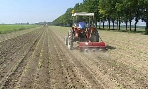 ALL’AGRICOLTURA SERVONO MACCHINE E COMPONENTISTICA