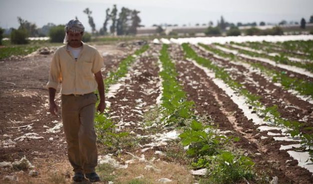 UE CHIEDE ETICHETTE DIVERSE PER I PRODOTTI DEI TERRITORI OCCUPATI DA ISRAELE