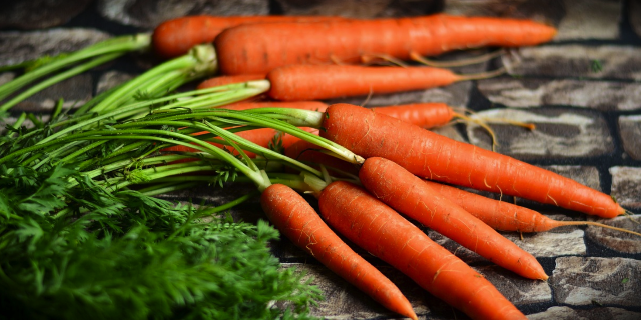 LA STAMPA 3D COME SOLUZIONE ALLO SPRECO ALIMENTARE