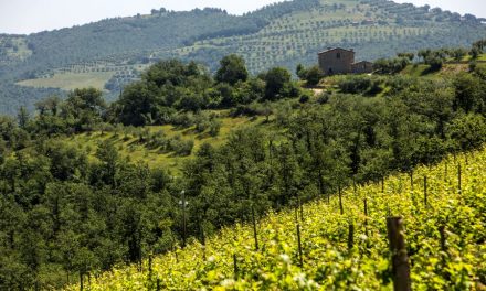 CORCIANO CASTELLO DI VINO ALLA 12ESIMA EDIZIONE