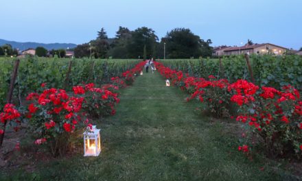 MOSNEL DI FRANCIACORTA: UN VIAGGIO CINEMATOGRAFICO