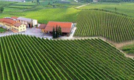 ESCURSIONI SOTTO LE STELLE TRA I VIGNETI