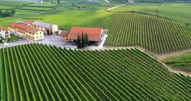 ESCURSIONI SOTTO LE STELLE TRA I VIGNETI