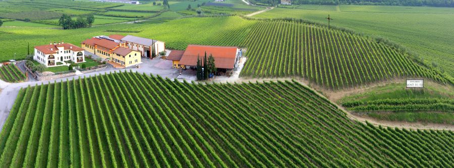 ESCURSIONI SOTTO LE STELLE TRA I VIGNETI