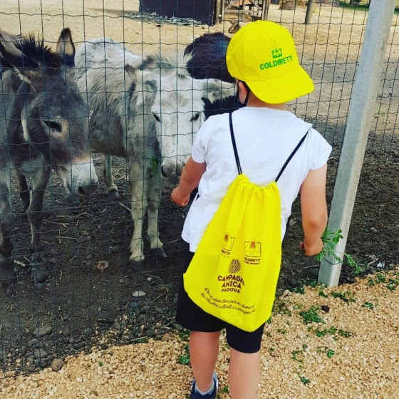 LE FATTORIE DIDATTICHE ACCOLGONO I BAMBINI PER L’ESTATE