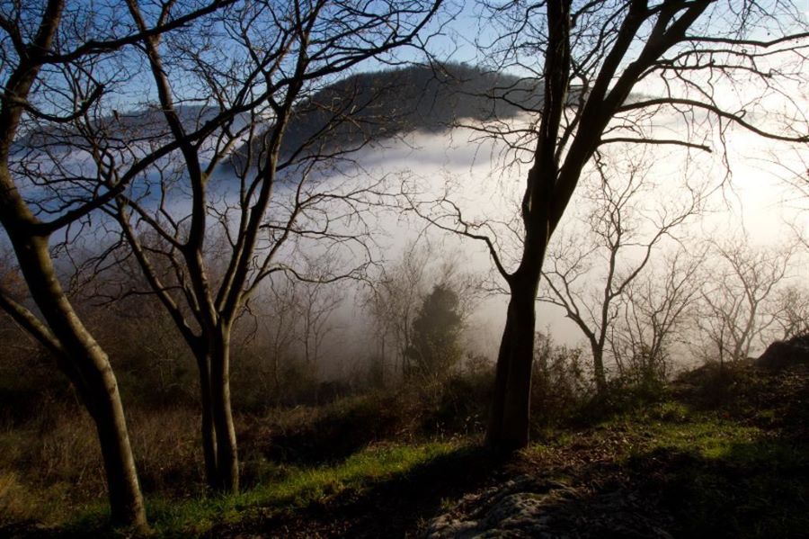 I COLLI EUGANEI SONO PATRIMONIO UNESCO