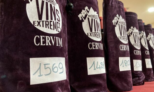 MONDIAL DES VINS EXTREMES 2024