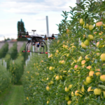 IL FUTURO DELL’AGRICOLTURA IN CHIAVE SMART