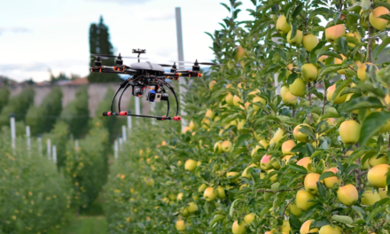 IL FUTURO DELL’AGRICOLTURA IN CHIAVE SMART