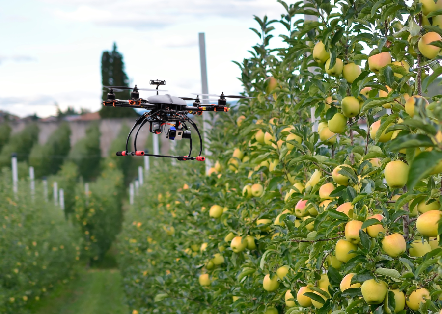 IL FUTURO DELL’AGRICOLTURA IN CHIAVE SMART