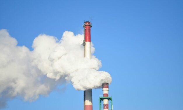 COME CATTURARE LA CO2 DA PRODUZIONE