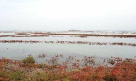 IL SENTIERO DELLE BARENE D’AUTUNNO