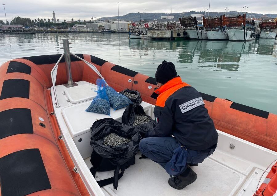 E-FISHING, OPERAZIONE NAZIONALE COMPLESSA