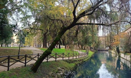 IL GIARDINO SALVI LUOGO DEL CUORE