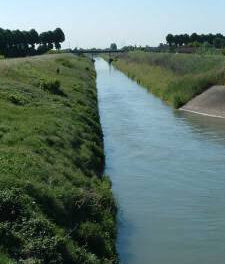 L’ANBI RICHIAMA L’ATTENZIONE SULLE ZONE UMIDE